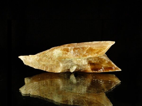 Un cristal de gypse couleur miel, il est cristallisé en fer de lance, une pièce pour collectionneur de minéraux.