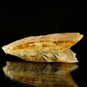 Un cristal de gypse couleur miel, il est cristallisé en fer de lance, une pièce pour collectionneur de minéraux.