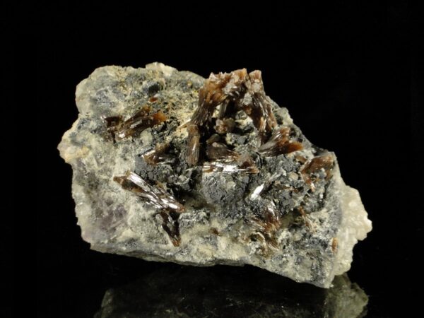 Ce sont des cristaux de pyromorphite marrons, ils sont sur des cubes de fluorite et viennent de la mine de Chaillac.