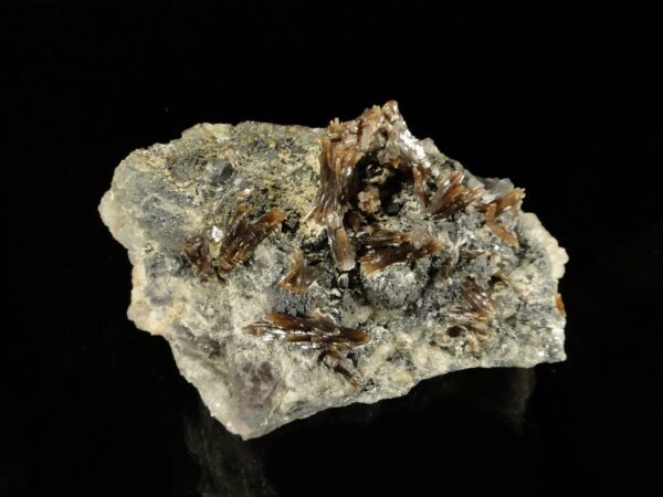 Ce sont des cristaux de pyromorphite marrons, ils sont sur des cubes de fluorite et viennent de la mine de Chaillac.