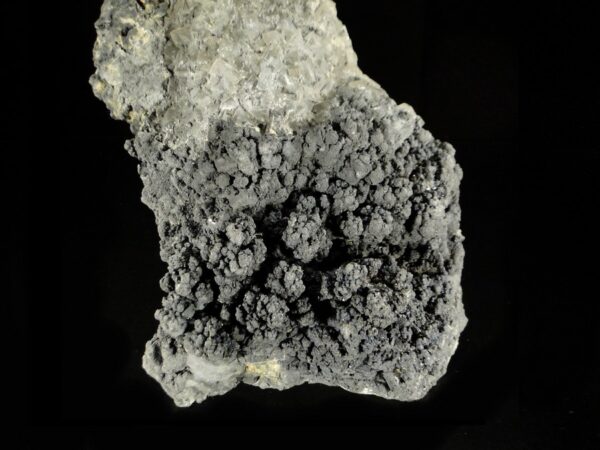 Une pièce de galène qui recouvre des cubes de fluorite, une pièce pour collectionneur de minéraux.