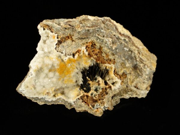 Ce sont des cristaux de goéthite sur quartz, ils viennent de Chaillac, une pièce pour collectionneurs de minéraux.