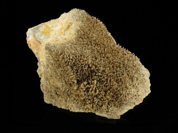 Des cristaux de pyromorphite marron, ils sont très brillants, une pièce pour collectionneur de minéraux.
