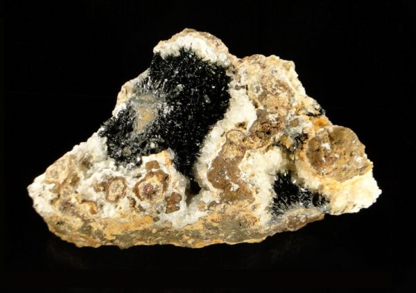 Une pièce des Redoutières, des cristaux de goethite sur quartz, une pièce pour collectionneur de minéraux.