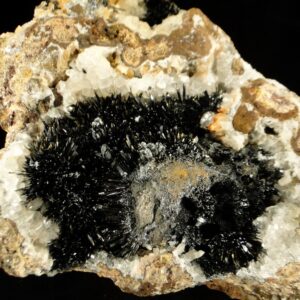 Une pièce des Redoutières, des cristaux de goethite sur quartz, une pièce pour collectionneur de minéraux.