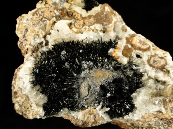 Une pièce des Redoutières, des cristaux de goethite sur quartz, une pièce pour collectionneur de minéraux.