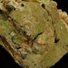 Des cristaux de pyromorphite verts de la mine du Rossignol, une pièce pour collectionneur de minéraux.