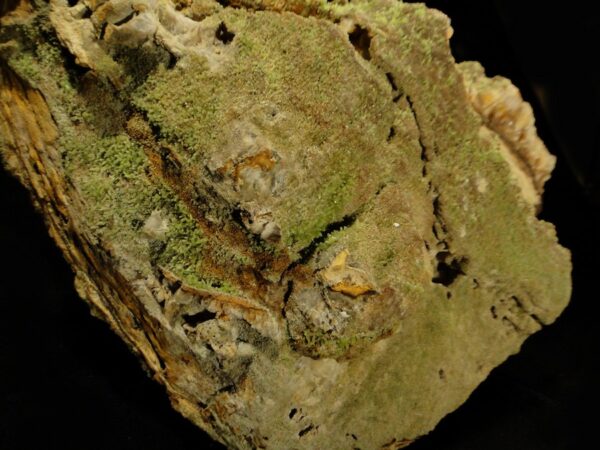 Des cristaux de pyromorphite verts de la mine du Rossignol, une pièce pour collectionneur de minéraux.