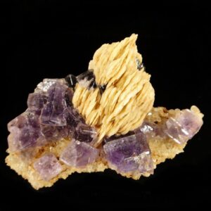 Une association baryte et fluorite, de Berbes, dans les Asturies, c'est une pièce pour collectionneur de minéraux.