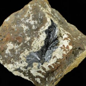 Ce sont des cristaux de goethite noirs sur des cristaux de quartz blanc, une pièce pour collectionneur de minéraux.