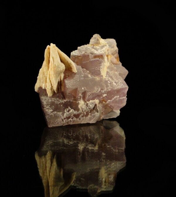 Ce sont des cristaux de fluorite associés à de la baryte, une pièce pour collectionneur de minéraux.