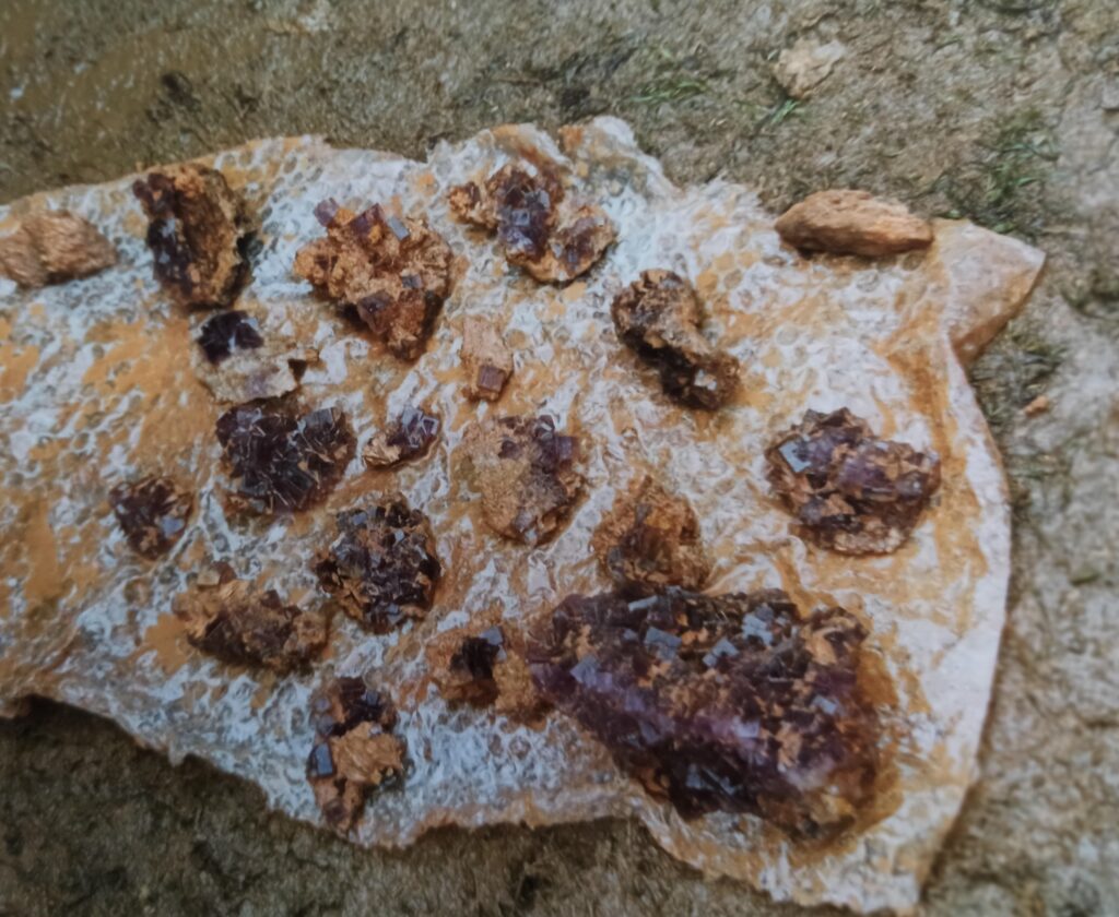 Ce sont des cristaux de fluorite, trouvées lors de prospection et de recherche de minéraux.