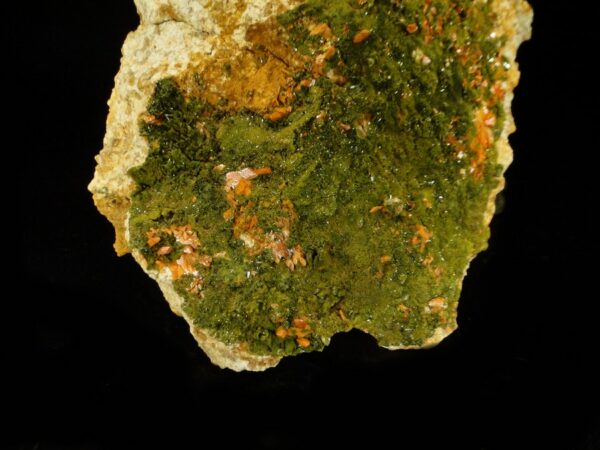 Ce sont des cristaux de crocoïte sur pyromorphite de Nontron, une pièce pour collectionneur de minéraux.