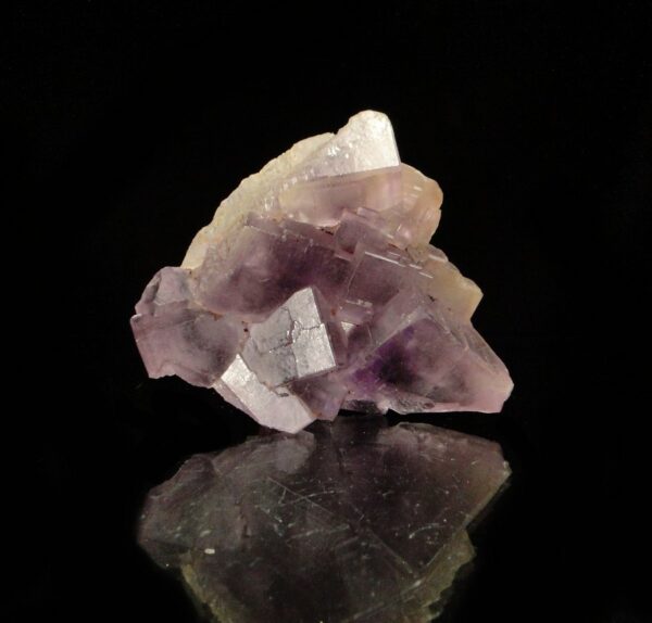 Un ensemble de cristaux de fluorite de Berbes, secteur de la Paredona, c'est une pièce pour collectionneur de minéraux.