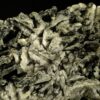 Des cristaux de galène sur des ailes de baryte, c'est une pièce pour collectionneur de minéraux.