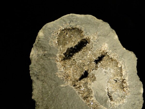 Ce sont des cristaux de baryte dans une septaria, une pièce pour collectionneur de minéraux.