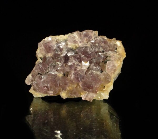 Un ensemble de cristaux de fluorite associé à de la galène, c'est une pièce d'Angleterre, du Weardale, c'est une pièce pour collectionneur de minéraux.