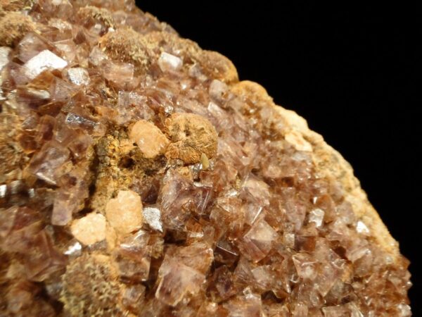 Un ensemble de cristaux de fluorite de Lantignié dans le Rhône, associés à de la pyromorphite et de la wulfénite, c'est une pièce pour collectionneur de minéraux.