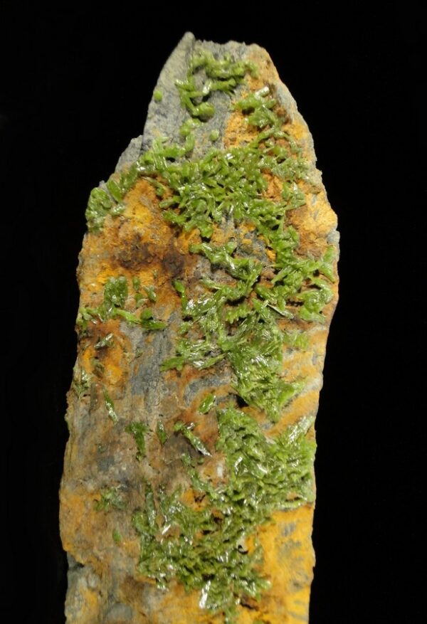 Un ensemble de cristaux de pyromorphite de la mine de Saint Salvy dans le Tarn, c'est une pièce pour collectionneur de minéraux.