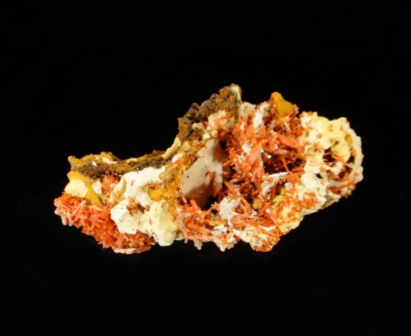 Un ensemble de cristaux de crocoite de Tasmanie, c'est une pièce pour collectionneur de minéraux.